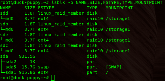 Linux RAID 10 lsblk output