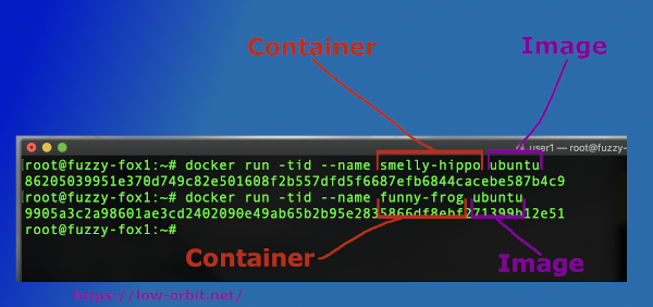 Docker Container vs Image