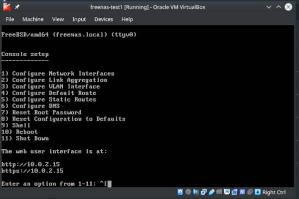 FreeNAS VM - as a guest