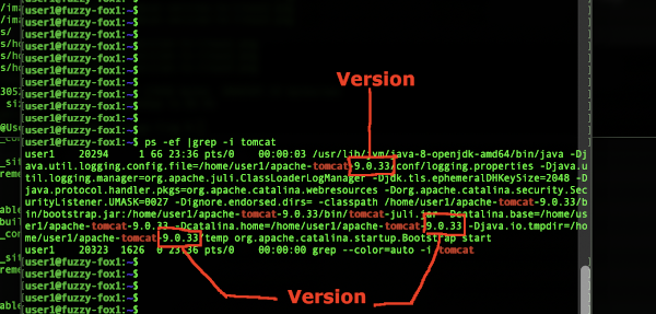 How to Check Tomcat Version in Linux - check the running process