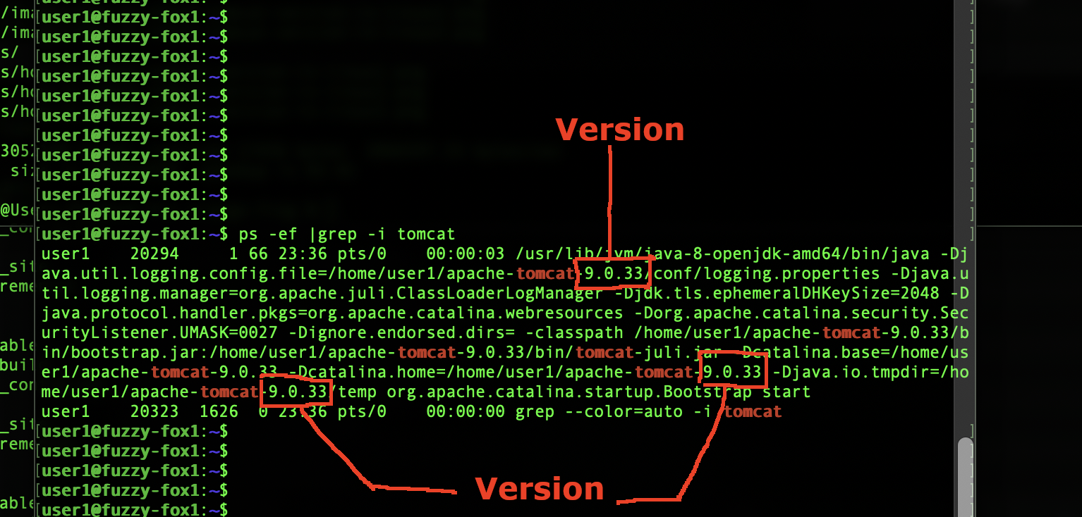 how-to-check-which-tls-version-is-used-in-linux