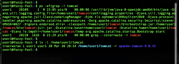 How to Check Tomcat Version in Linux - check the symlink