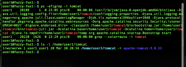 apache tomcat version