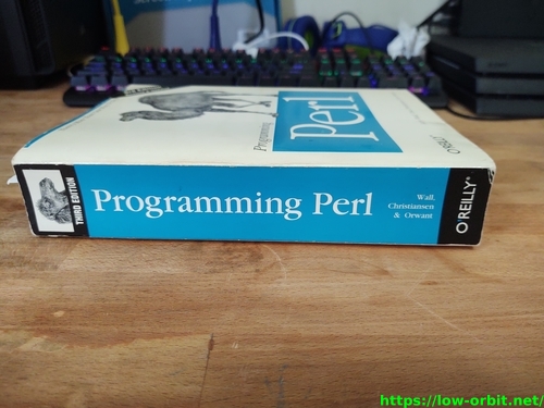 programming perl side