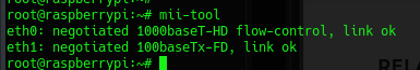 Raspberry Pi Router Firewall system info