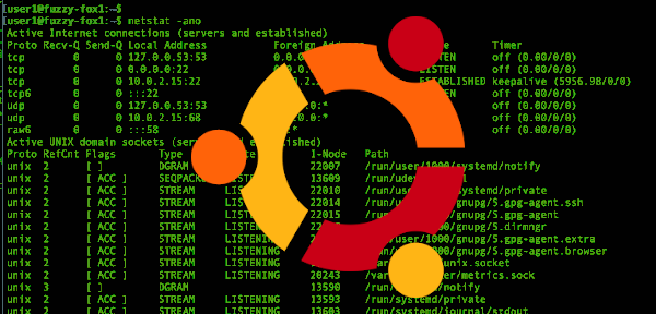 Ubuntu install netstat