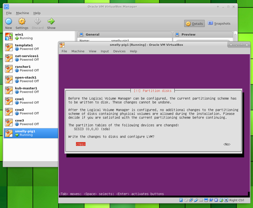 Ubuntu Server in VirtualBox partition