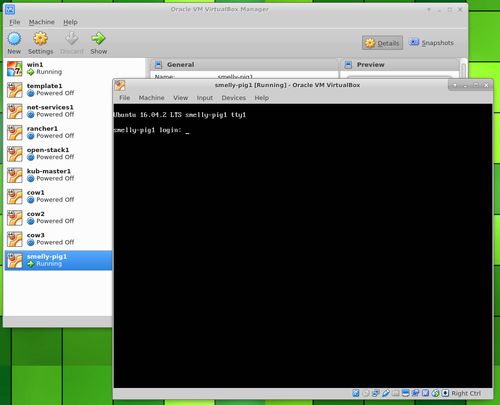 Ubuntu Server in VirtualBox new system login