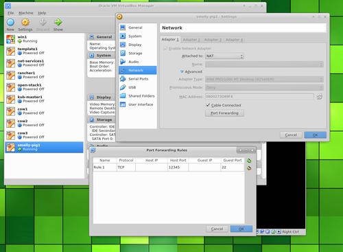 Virtual Box ssh forwarding rule