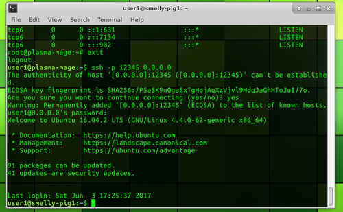 Ubuntu Linux server ssh login